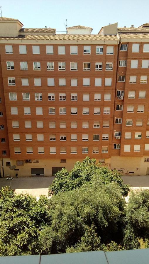 Апартаменты Piso Acogedor Y Alegre En Castellon Кастельон-де-ла-Плана Экстерьер фото